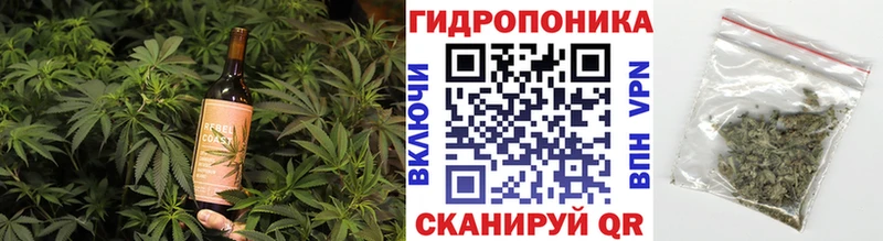 Купить где  Гудермес  Cannafood конопля 