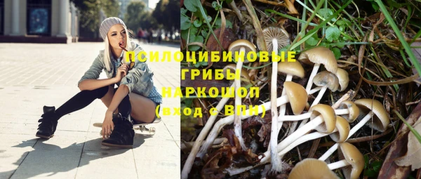 эйфоретик Алексеевка