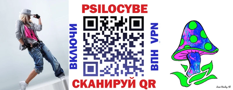 Купить где  Гудермес  Псилоцибиновые грибы GOLDEN TEACHER 